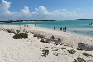 Desde Mérida: Isla Columpios y Progreso