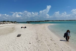 Desde Mérida: Isla Columpios y Progreso