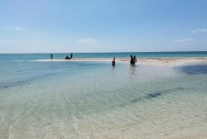 Desde Mérida: Isla Columpios y Progreso