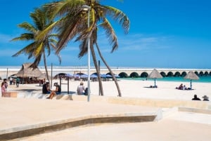 Desde Mérida: Isla Columpios y Progreso