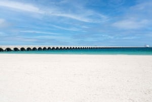 Desde Mérida: Isla Columpios y Progreso