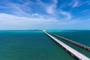 Desde Mérida: Isla Columpios y Progreso