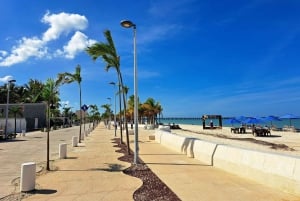 Desde Mérida: Isla Columpios y Progreso