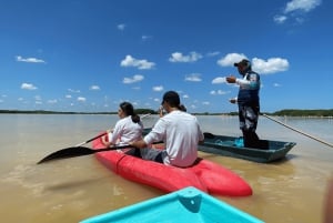 From Merida: Kayak tour in the mangroves of Sisal and Playa de Mérida.