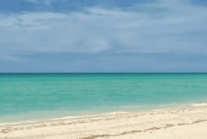 From Merida: Kayak tour in the mangroves of Sisal and Playa de Mérida.