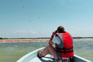 Desde Mérida: Las Coloradas, Río Lagartos y Excursión a la Playa