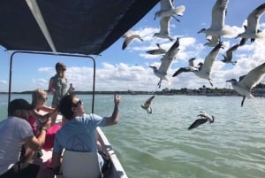 Desde Mérida: Las Coloradas, Río Lagartos y Excursión a la Playa