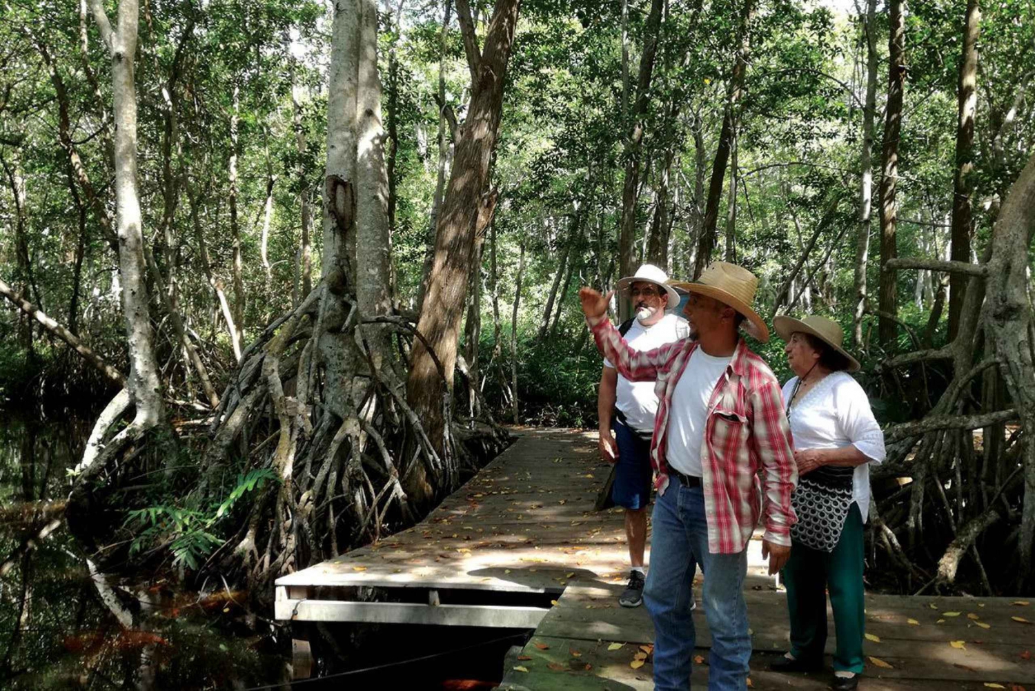 From Mérida: Ria Celestun Biosphere Reserve Tour