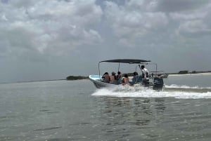 From Merida: Ria Lagartos, Coloradas & Cancunito Beach Tour