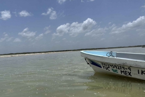 From Merida: Ria Lagartos, Coloradas & Cancunito Beach Tour