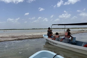 From Merida: Ria Lagartos, Coloradas & Cancunito Beach Tour