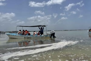 From Merida: Ria Lagartos, Coloradas & Cancunito Beach Tour