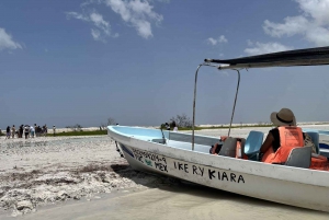 From Merida: Ria Lagartos, Coloradas & Cancunito Beach Tour