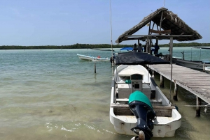 From Merida: Ria Lagartos, Coloradas & Cancunito Beach Tour