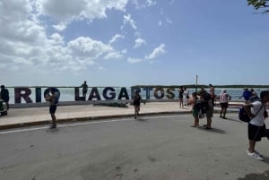 From Merida: Ria Lagartos, Coloradas & Cancunito Beach Tour