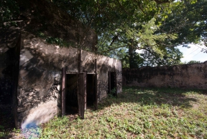 From Merida: Uxmal, Hacienda Yaxcopoil and Cenote with Lunch