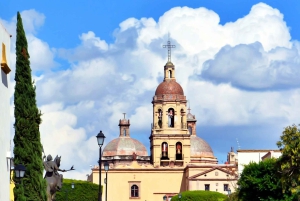 Desde la Ciudad de México: 3 días en San Miguel y Guanajuato