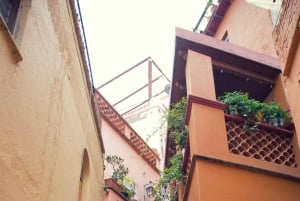 Desde la Ciudad de México: 3 días en San Miguel y Guanajuato