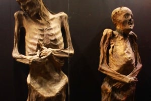 Desde la Ciudad de México: 3 días en San Miguel y Guanajuato