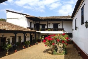 From Mexico City: 6 Day Colonial Cities Tour