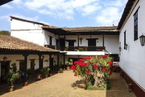 Desde la Ciudad de México: Tour de 6 días por las ciudades coloniales