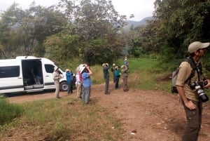 Desde la Ciudad de México: Tour de 6 días por las ciudades coloniales