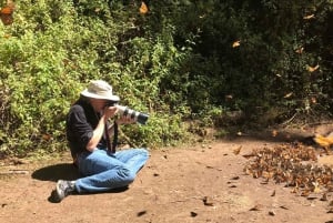 From Mexico City: 7-Day Monarch Butterfly Tour