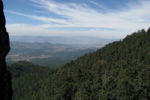 From Mexico City: 7-Day Monarch Butterfly Tour