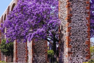 From Mexico City and Puebla: PURO MEXICANO (8 CITIES) 10 DAYS