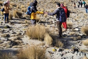 Desde Ciudad de México: El mejor tour en el Volcán Nevado de Toluca