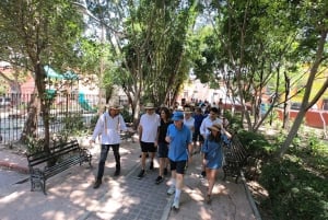 Desde Ciudad de México: Excursión Colonial de un Día a San Miguel de Allende