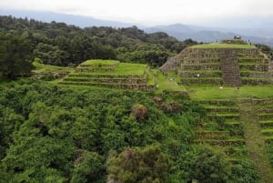 From Mexico City: Monarch Butterfly Sanctuary El Rosario Tour