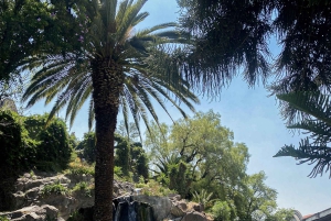 From Mexico City: Expedition to Teotihuacan, Tlatelolco, and Basilica of Guadalupe