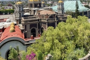 From Mexico City: Expedition to Teotihuacan, Tlatelolco, and Basilica of Guadalupe