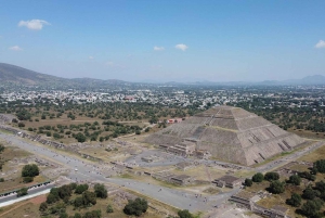 From Mexico City: Expedition to Teotihuacan, Tlatelolco, and Basilica of Guadalupe