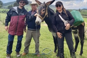 Desde CDMX: Santuario de las Luciérnagas en Tlaxcala -Camping Todo incluido