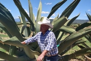 Desde CDMX: Santuario de las Luciérnagas en Tlaxcala -Camping Todo incluido