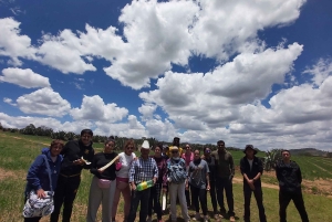Desde CDMX: Santuario de las Luciérnagas en Tlaxcala -Camping Todo incluido