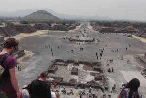 From Mexico City: Guadalupe Shrine and Teotihuacan Pyramids