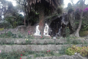 From Mexico City: Guadalupe Shrine and Teotihuacan Pyramids