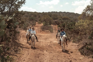 From Mexico City: Horseback Riding Mexico
