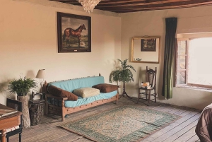 From Mexico City: Horseback Riding Mexico