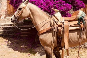 From Mexico City: Horseback Riding Mexico