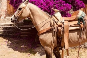 From Mexico City: Horseback Riding Mexico