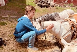 From Mexico City: Horseback Riding Mexico
