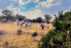 From Mexico City: Horseback Riding Mexico