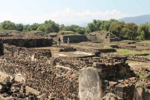 From Mexico City: Join us on a guided tour to Teotihuacán and Guadalupe