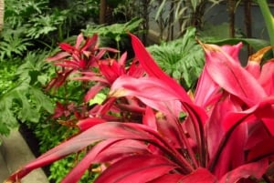 Desde Ciudad de México: Pueblo Mágico Metepec y Toluca