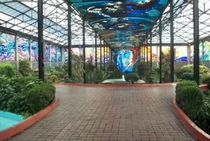 From Mexico City: Magic town Metepec and Toluca