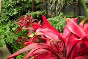 From Mexico City: Magic town Metepec and Toluca